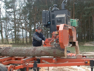 Lohnsäger